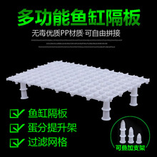 ~׵מVײ^VWӰWɺ~׵מV~׸