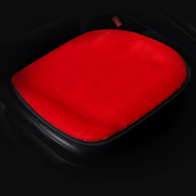 cushion car winter heating car — Multi-function pad