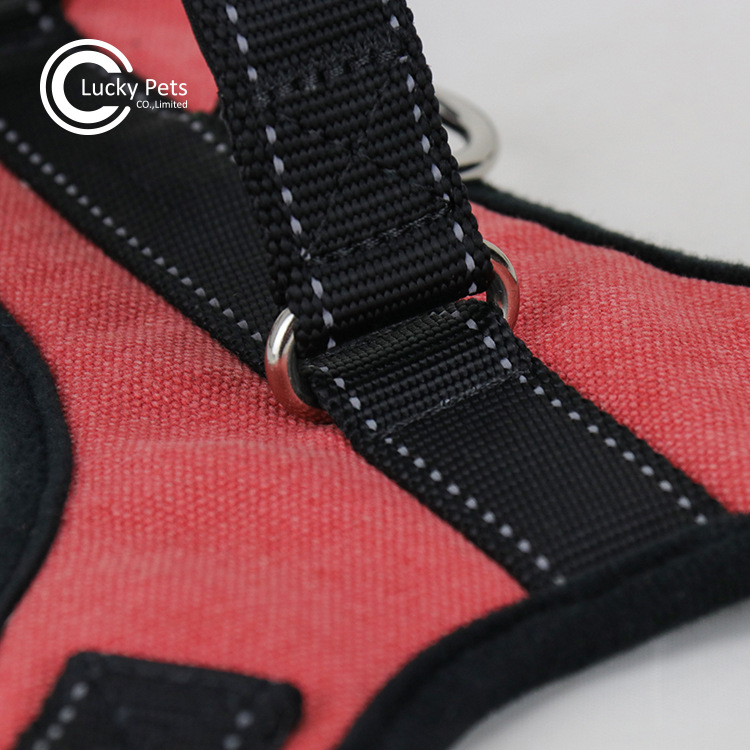 ó¿Ʒ дȮر ţзױ