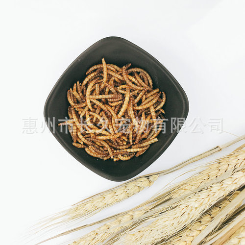 20 pounds of bulk mealworms, mealworms, special snacks for birds, turtles and hamsters, dried worms, bird food and pigeon food