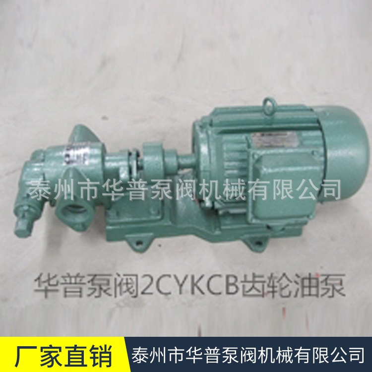 2CY KCB齿轮泵.jpg