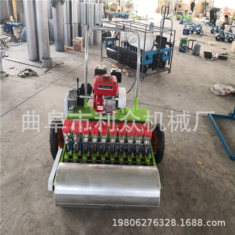郊区多行菜籽育苗机 多行菜心播种机