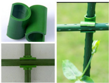 �S��ֱ�N�N�˷N������ů���A�����ٰ���䓹������ʮ�ֿ��̶�����