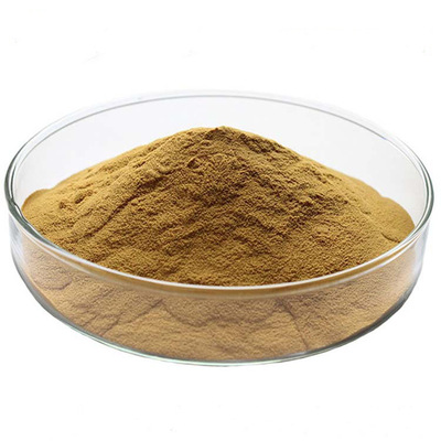 Lotus extractive Lotus leaf base 2% Lotus Leaf Flavonoids 10%~98% direct deal Cong goods in stock