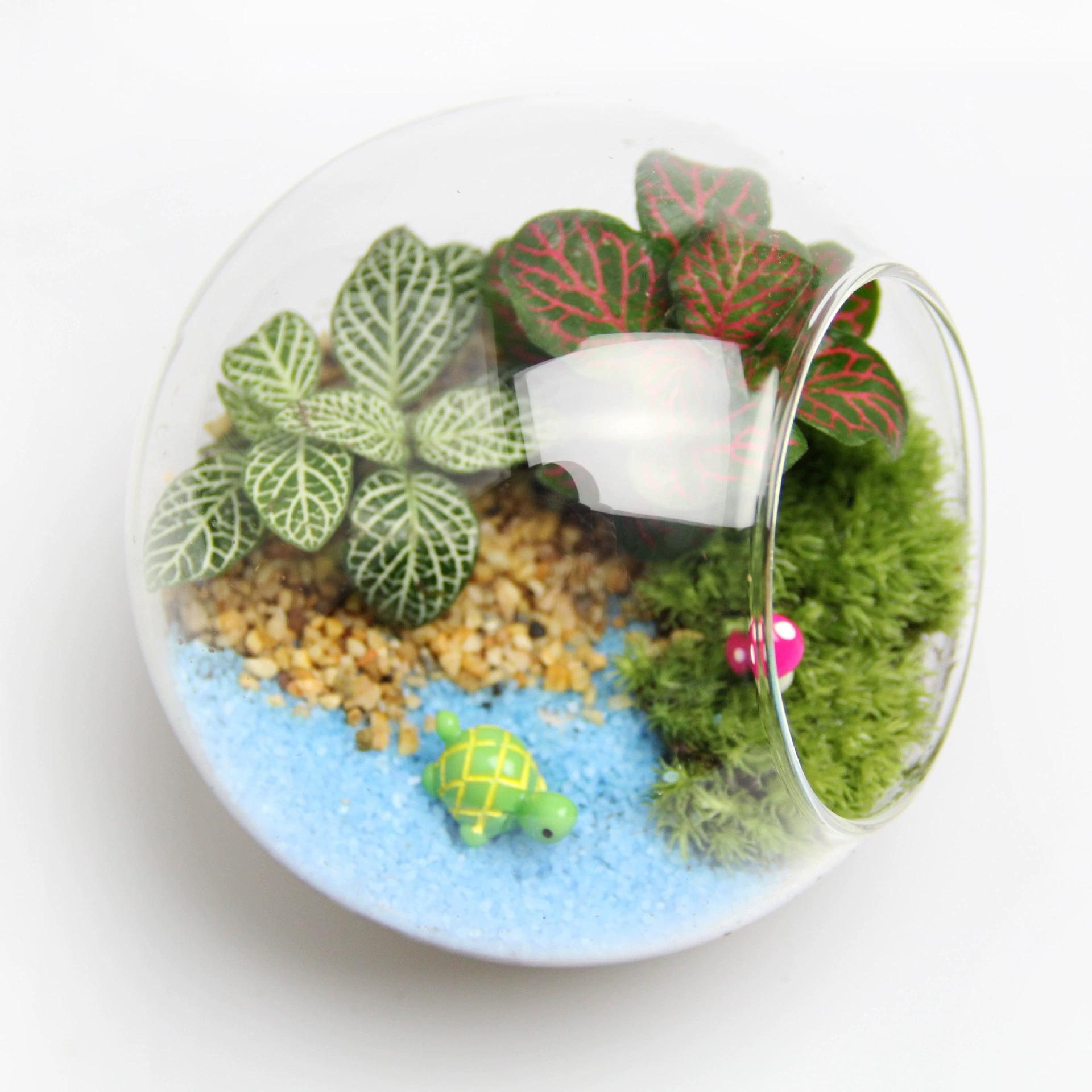 Креативный подарок зеленый завод подарок микропейзаж экологическая бутылка пакет материалов 10 см косая бутылка костюм черепаха серия