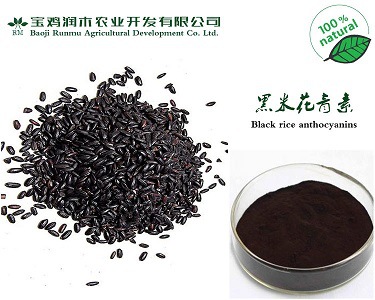 黑米花青素1