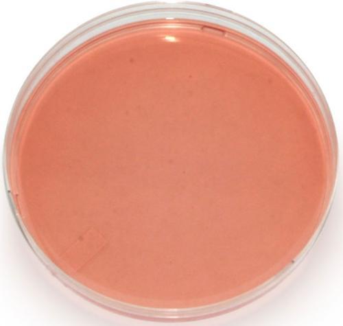 疱肉培养基（液体）（试管）/10ml*10支/盒