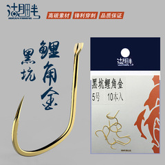 Lakeside Carp Hook Angle Gold Color Pit Fishing Competition New Kanto Improved Fishing Gear Accessories Bulk Fish Hooks
