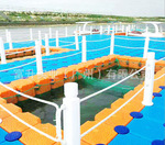 水上平台 塑料浮筒 水上游泳池 钓鱼平台  浮动码头浮桥