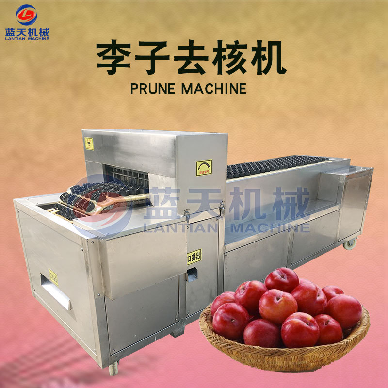 李子去核机 小型李子去核机 李子切半去核机 全自动水果去核设备