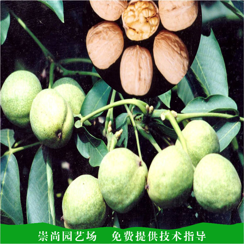 20100928180222755337.jpg