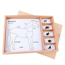 �ľ��ѧ�Ļ� ���������̾� MONTESSORI ����ֲ��ƴͼǶ�����ο�