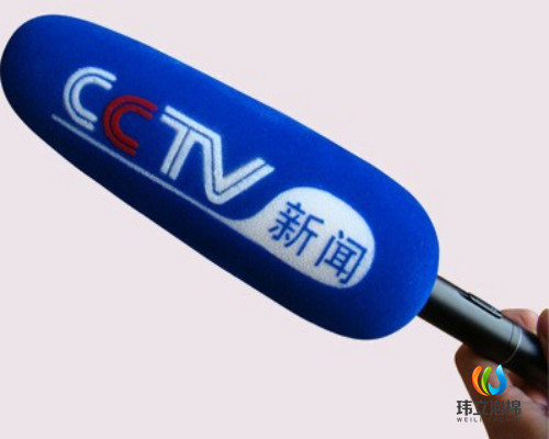 定制植绒logo海绵话筒套 电视台采访麦克风海绵套 台标防风海绵罩