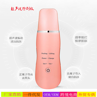 Exit Stainless steel atomization face cosmetic instrument Ultrasonic wave Shovel Paper Machine Ion Import Acne multi-function cosmetic instrument