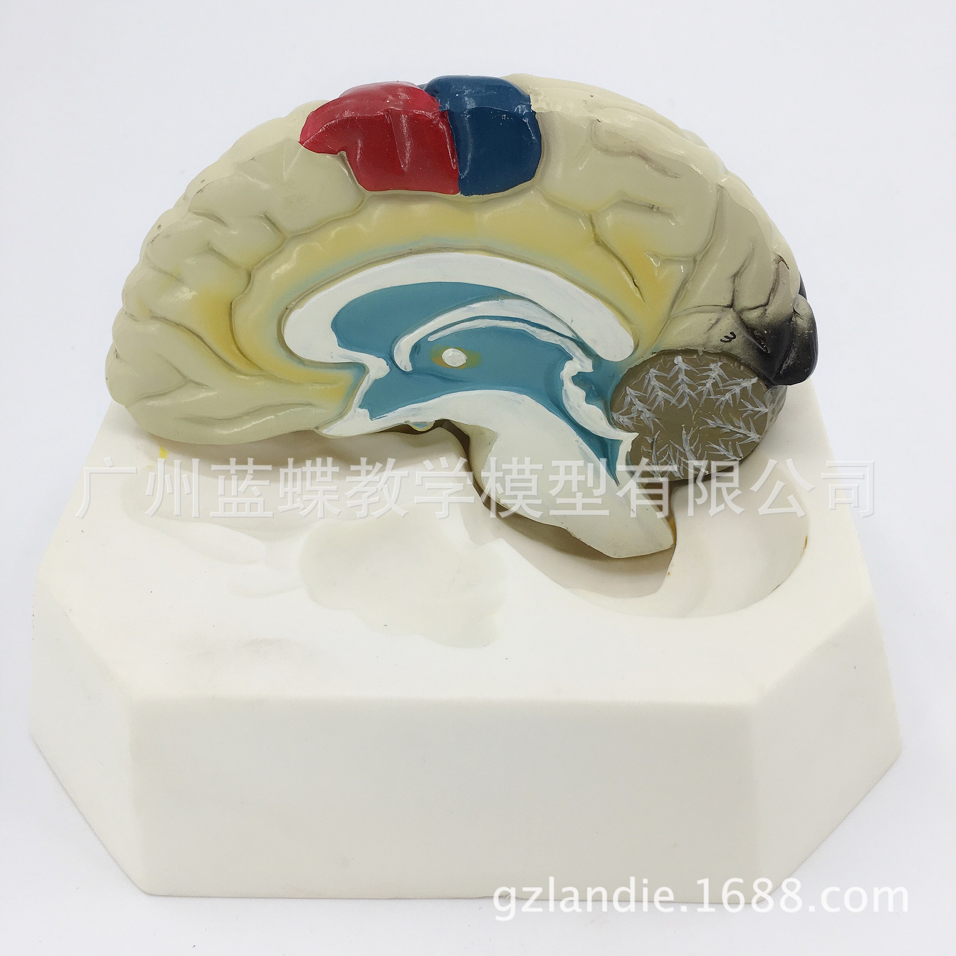 Ƥʹܶλģ A18205 Բģ ѧѵר
