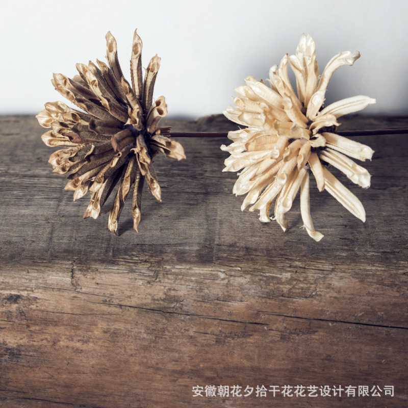Hand bonding DIY sesame Dry bouquet Homestay Restaurant Store decoration a decoration The original ecology natural Dried flowers