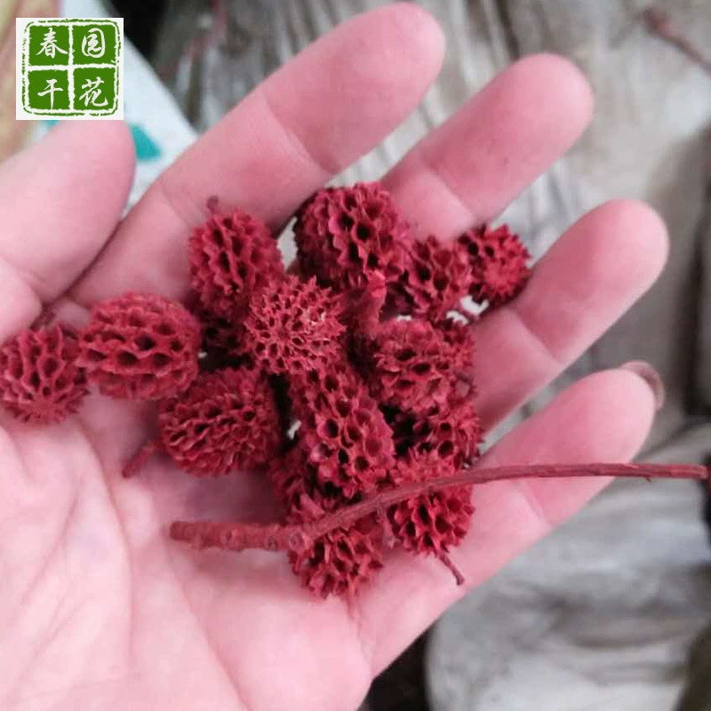 [木麻黄果实马尾小松果 干花diy材料包花材摆件真永生花束干花批发]