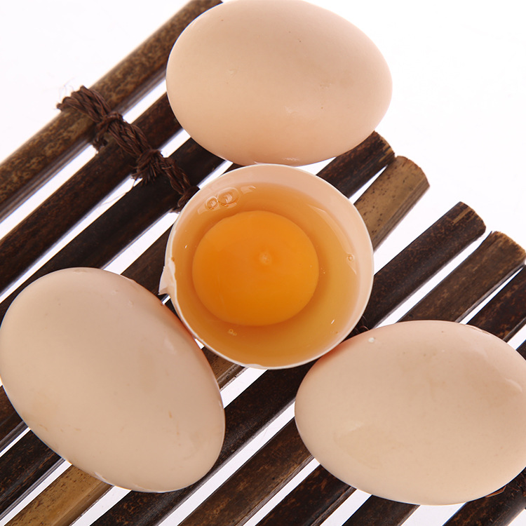 农家放养土鸡蛋20枚装