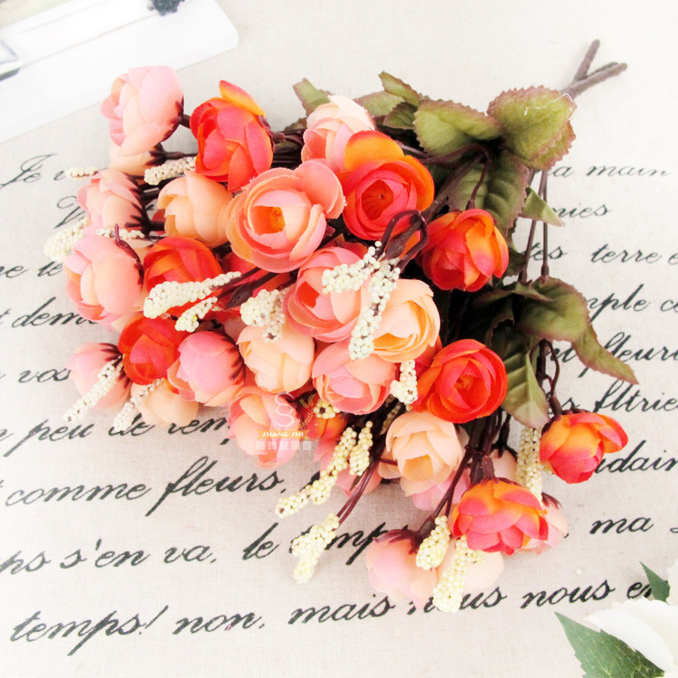 6叉18头山茶玫 颜色->夕阳