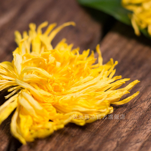 A single Huangshan Golden Silk Chrysanthemum in a cup, wholesale large chrysanthemum tea, one flower per brew, bagged Golden Silk Chrysanthemum.