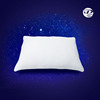 Latest Pure white memory Sponge pillow Space Slow rebound Royal pillow health preservation Healthcare Sponge pillow customized