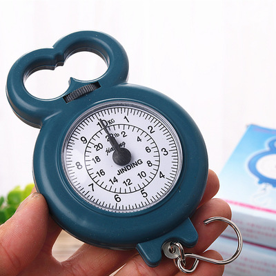 手提弹簧称迷你便携式家用小秤可调节刻度弹簧秤快递称重手提称|ms