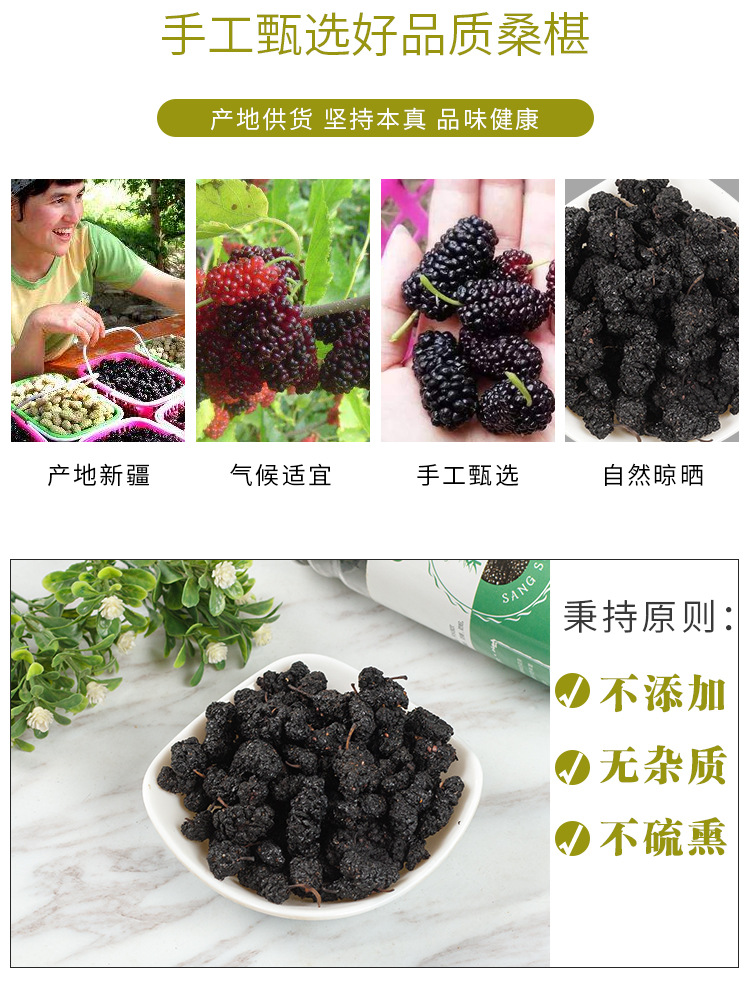 Dried Mulberry Fruit (Morus alba) — Xinjiang Black Mulberry for Tea & Daily Nourishment overview