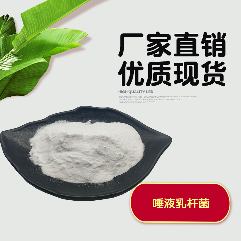 唾液乳杆菌100亿/g 益生菌菌种 益生菌冻干粉