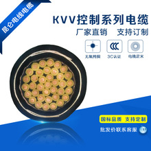 多芯控制電纜 kvvp4*2.5鎧裝屏蔽控制電纜 低壓國標銅芯電纜線