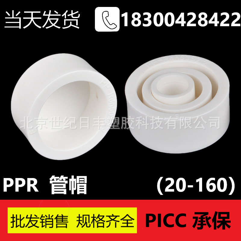 Bulk supply Plastic Melt Cap PPR Plugs Plug ppr Pipe Fittings parts