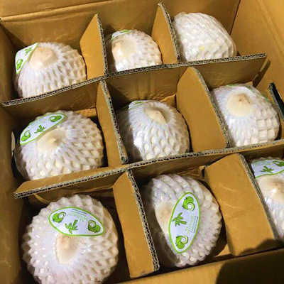 海南/泰国椰青9个装新鲜椰子去皮椰子青椰网红椰子蛋孕妇水果代发|ru