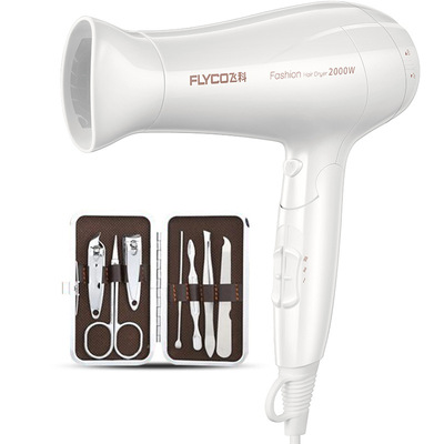 Flyco/飛科 電吹風2000W大功率家用酒店吹風機FH6232 +指甲鉗套裝