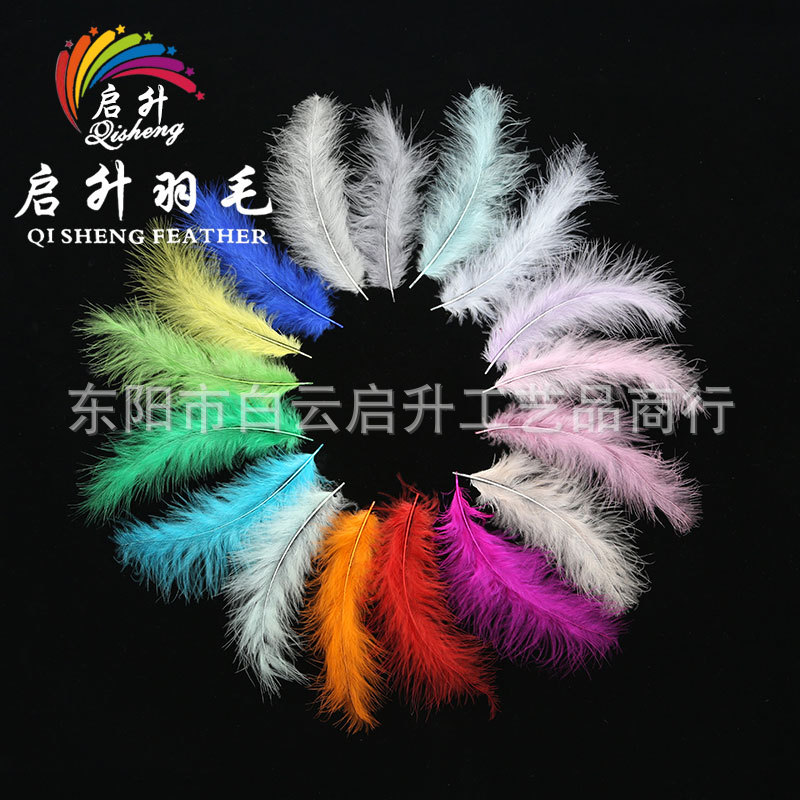 Cross -border wholesale DIY turkey hair sharp tail feather color…