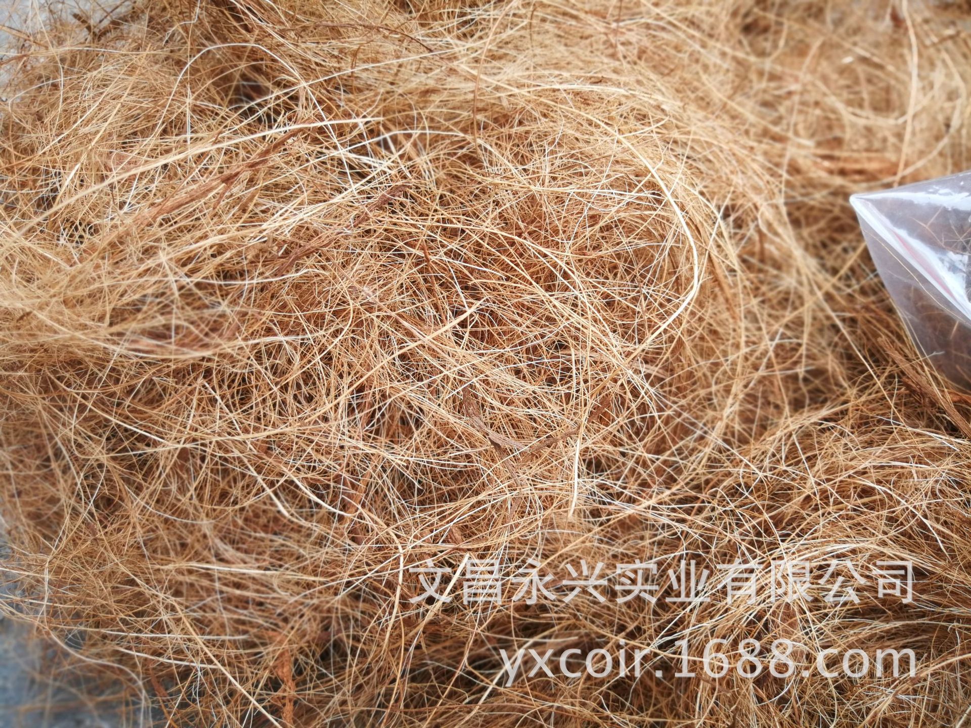园艺花卉植物椰丝覆盖花盆土面铺面盆栽椰棕丝全国-阿里巴巴