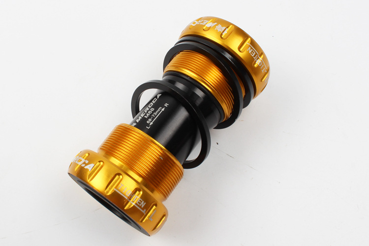 M6813.jpg