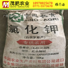 �tɫ�w��⛷� �Ȼ�� �Ȼ�� BB��ԭ�� �Ȼ���w����