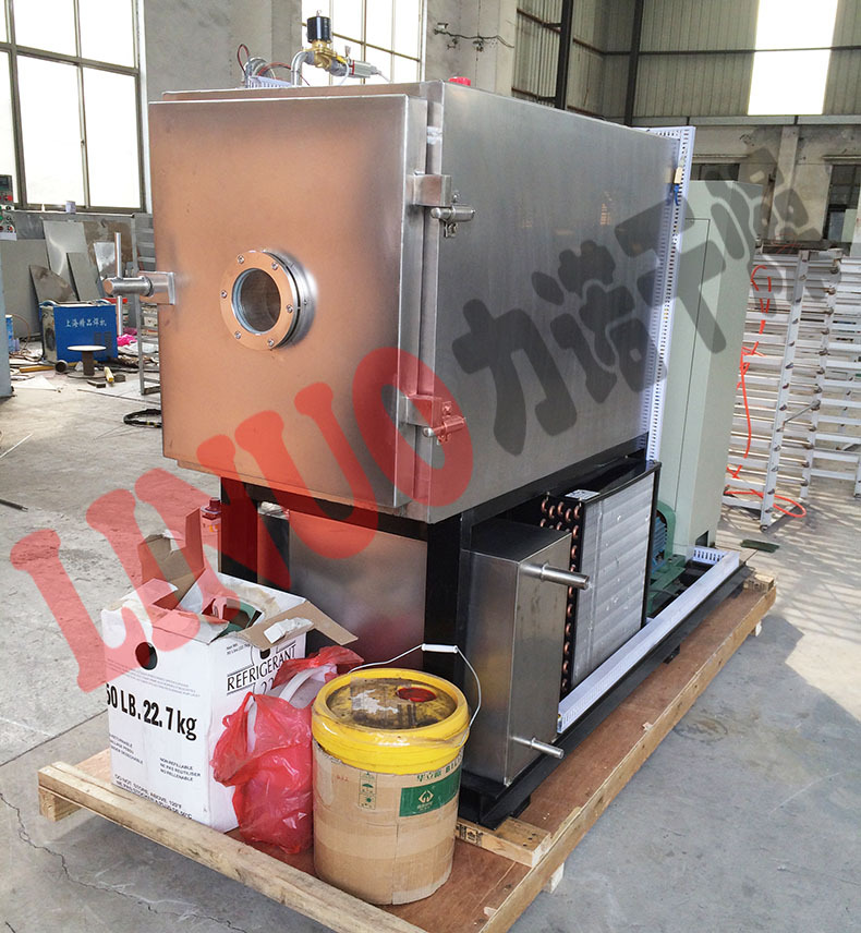 小鱼小虾海鲜冻干机 海产品海蜇冷冻真空冻干设备 小型冻干机