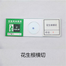 ����W��Ƭ�˱� ��������  ���򞻨���׸���Ƭ