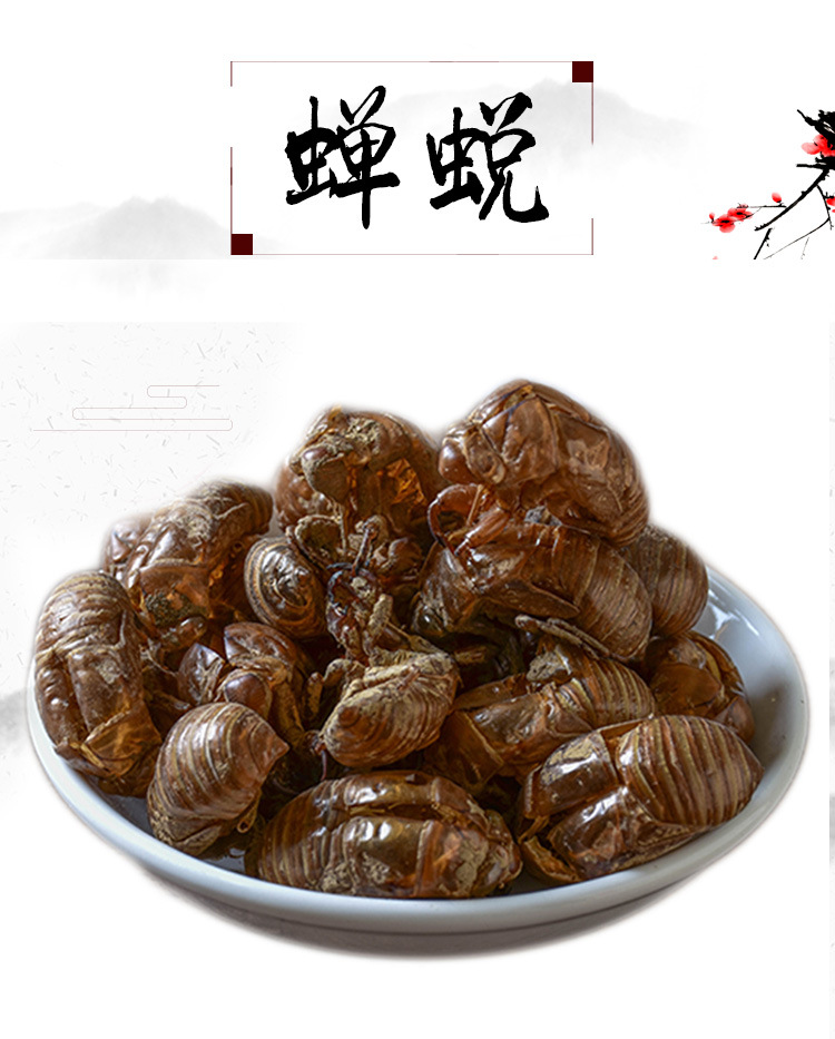 Chan Tui (Cryptotympana pustulata) — Sulfur-Free Washed Cicada Slough, Dried Herb key features