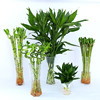 Plant lamp indoor, one bead bracelet for office, wholesale