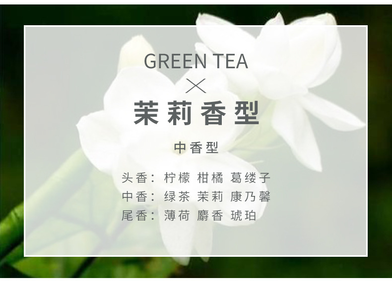 沸石猪头详情_13