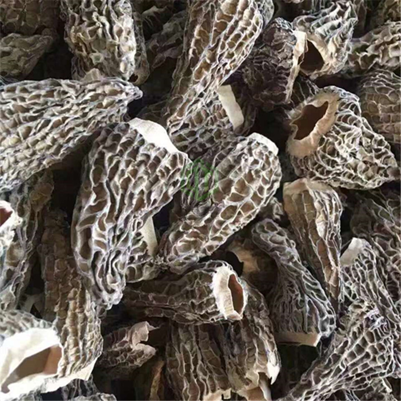 羊肚菌干货500g 头茬羊肚菌干货批发 精选剪柄羊肚菌特价包邮