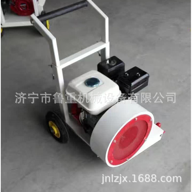 专业生产马路汽油吹风机 路面9马力吹风机 手推式吹风机认购金