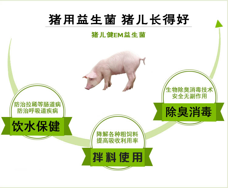 猪用益生菌
