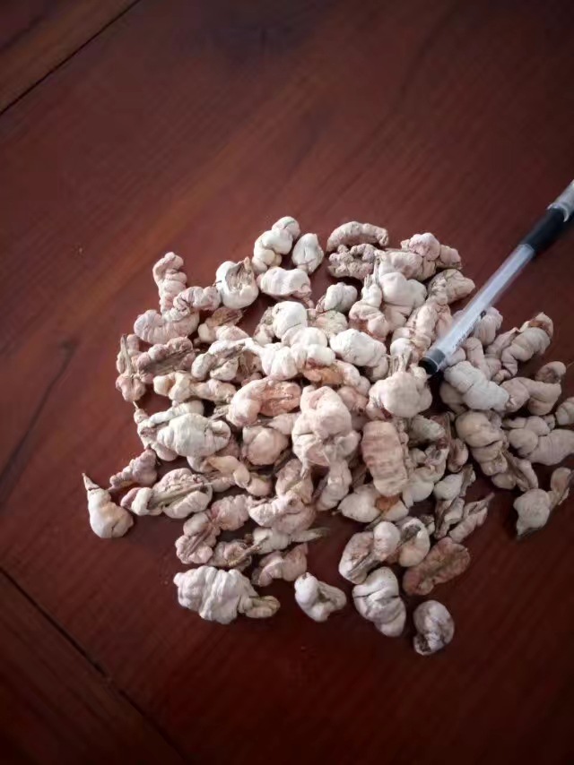 mmexport1507252341459