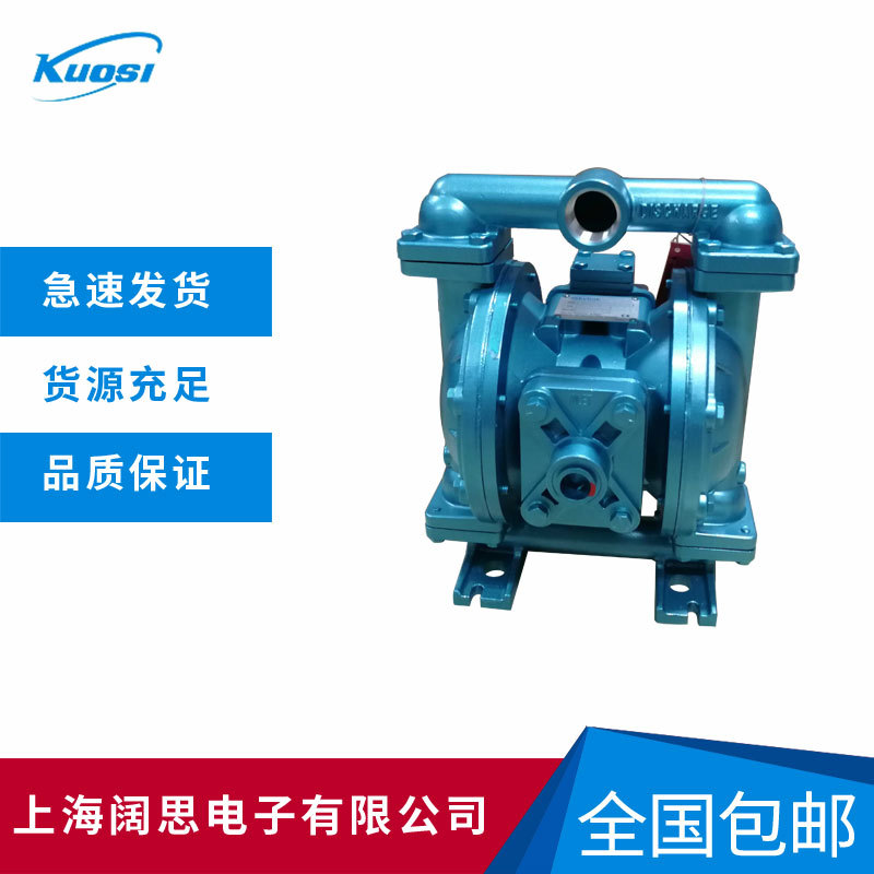 Skylink斯凯力气动隔膜泵LS25 CS-AA-NE-PP-NE-00工业化工泵