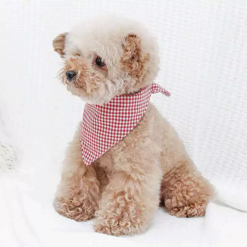 Eating bib, scarf, choker, bow tie, custom-made