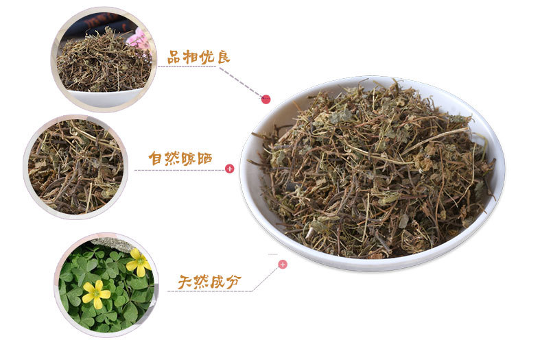 Tian Zi Cao (Marsilea quadrifolia) — Dried Four-Leaf Clover Water Herb, 500g key features