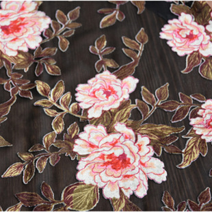 �S�Ұl�� ���䱪�y�������Z�q�� �n���q���� ��z�q�������� ����