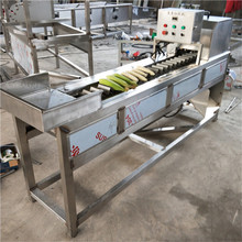 小型玉米切段機 全自動玉米切頭去尾設備甜糯玉米切段機